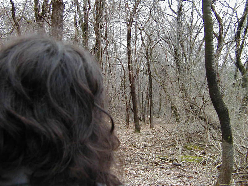 Woman and Woodland Path